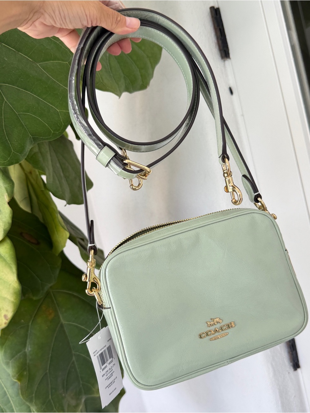 Coach Mini Carey Crossbody Bag CEK70 glazed leather/Gold/Light Pistachio